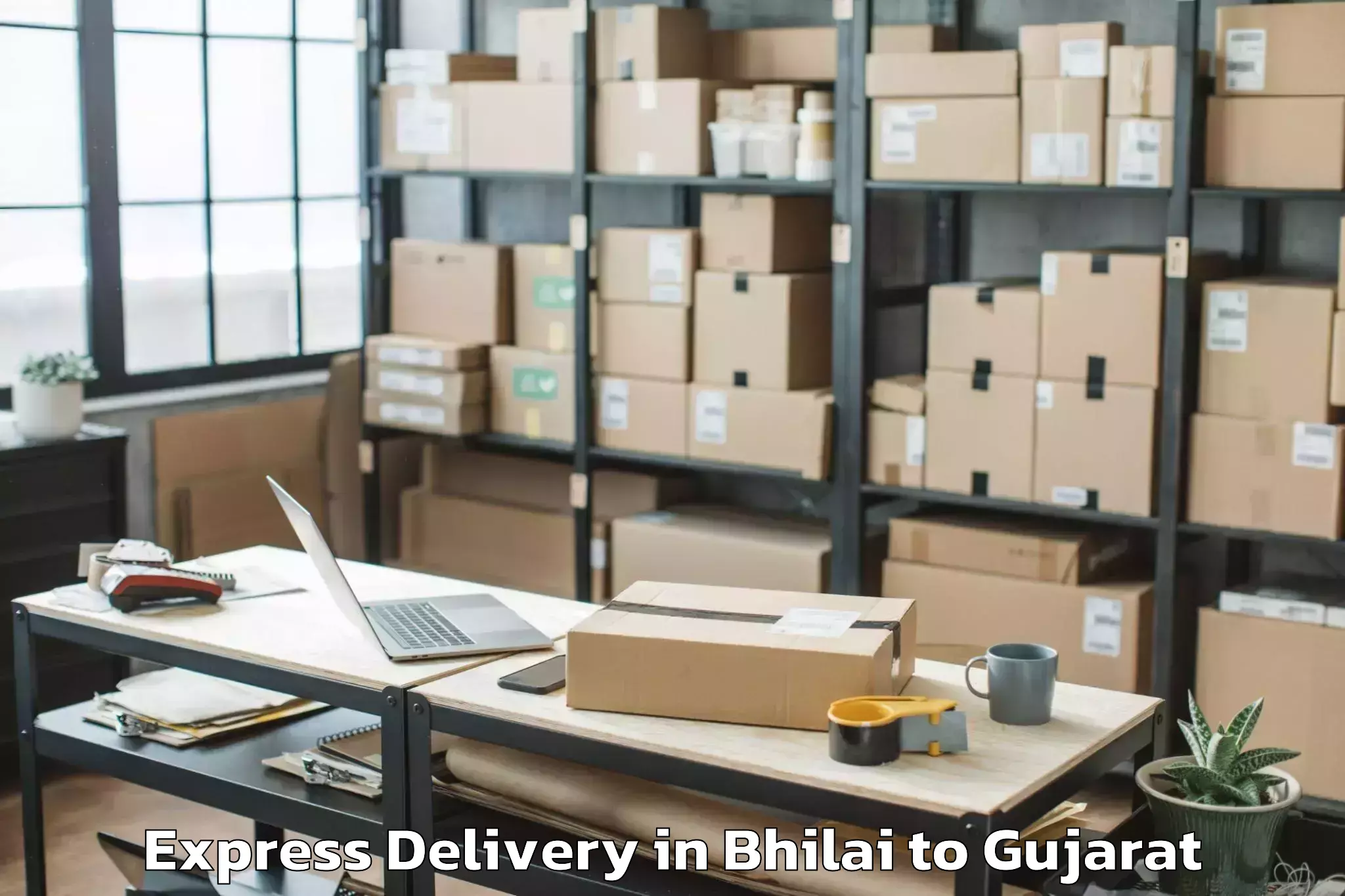 Quality Bhilai to Kadi Express Delivery